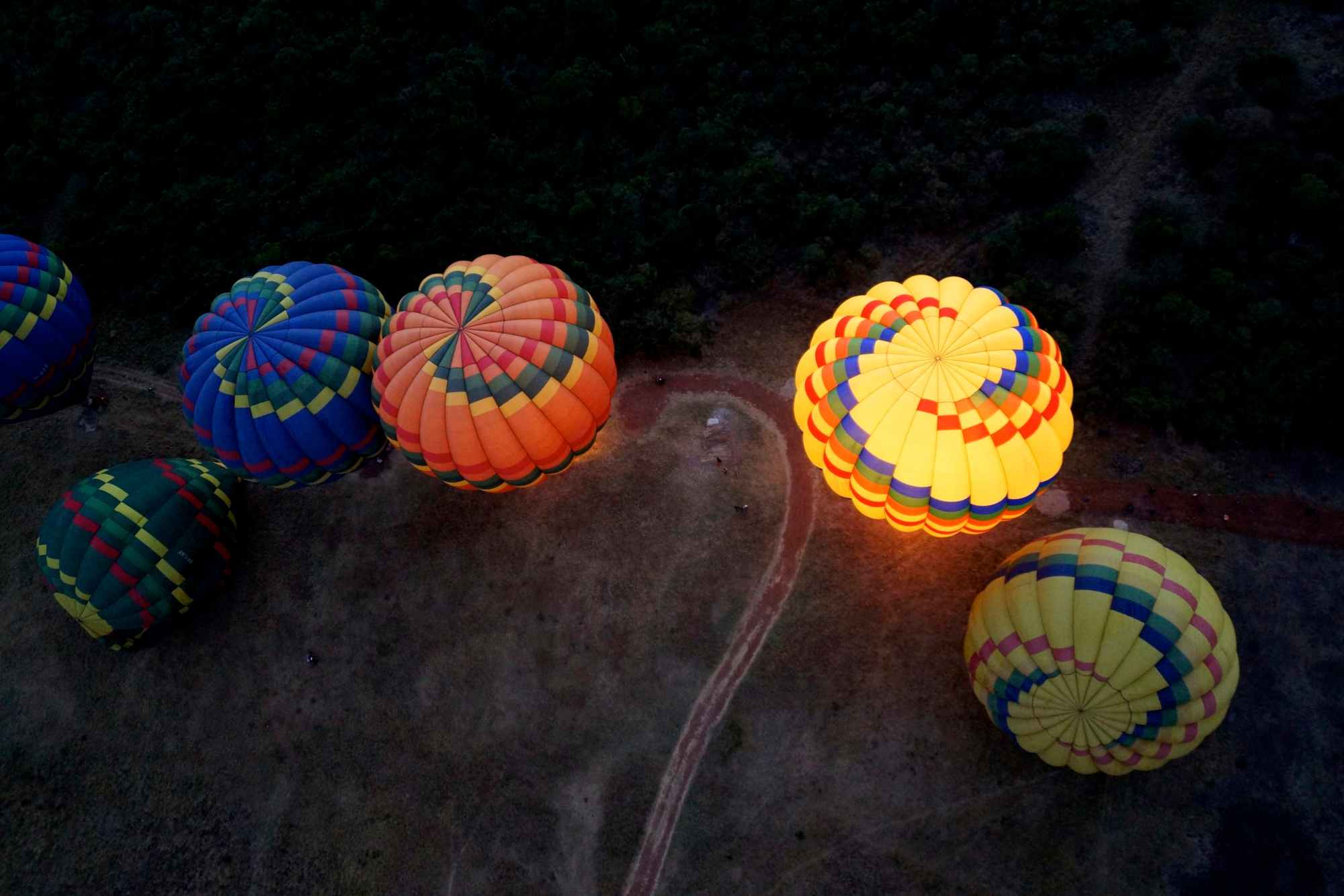 Balloon-Safari