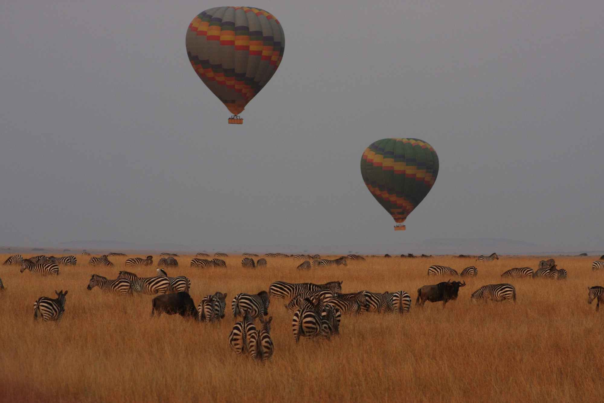 Balloon-Safari