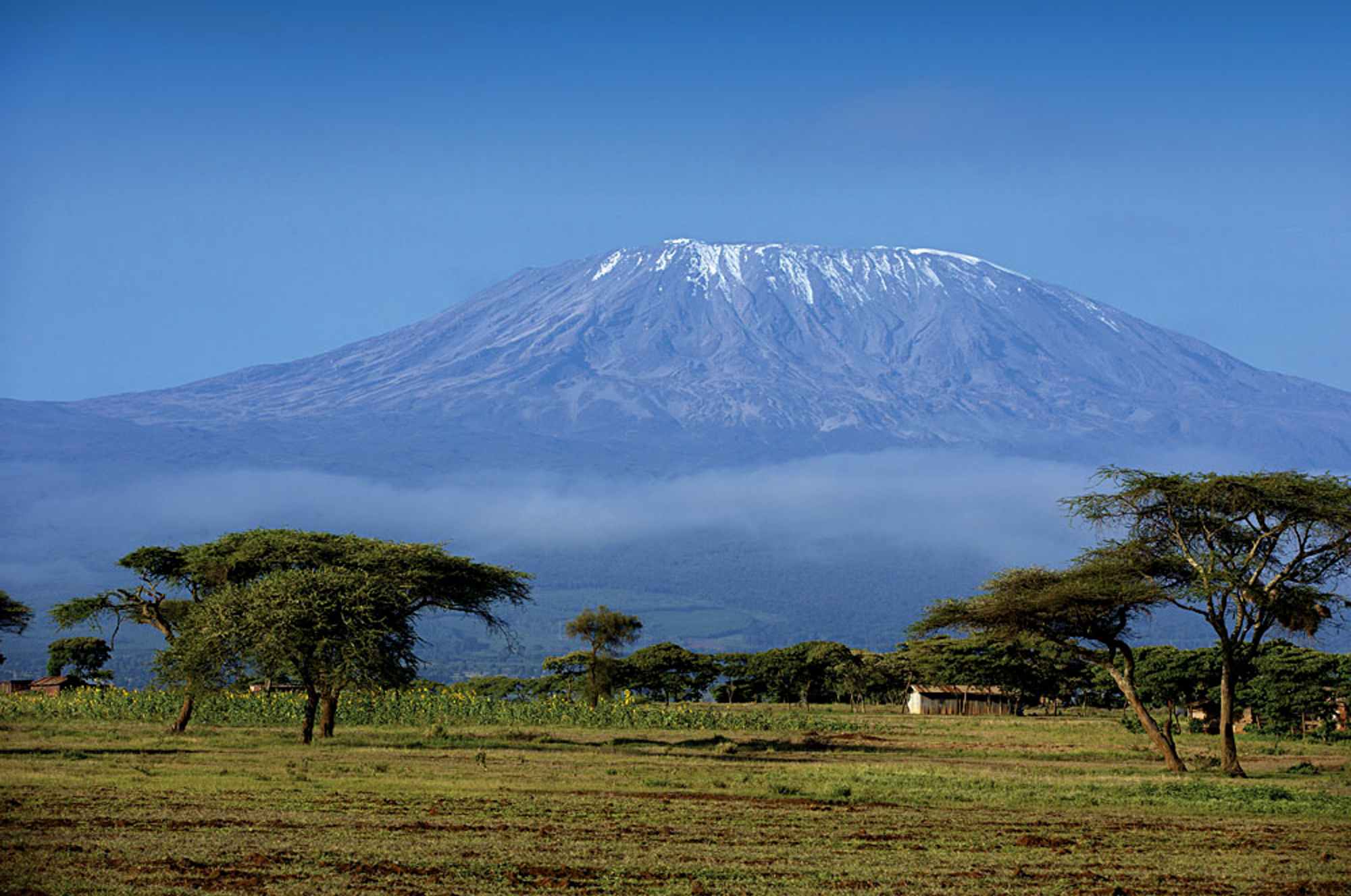 Kilima-Amboseli-Mt.-Kilimanjaro