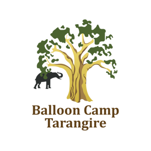 Balloon Camp Tarangire