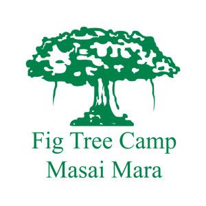 Fig Tree Camp