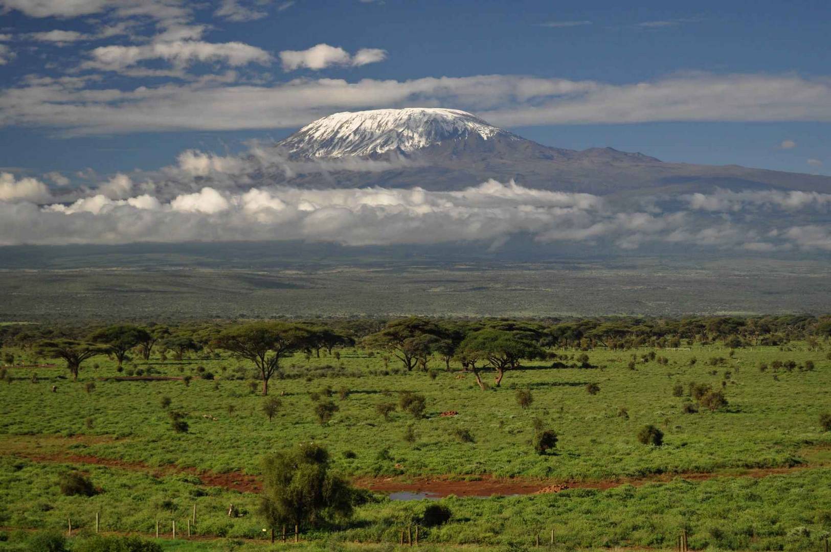 Kilima-Safari-Camp-Bush-View