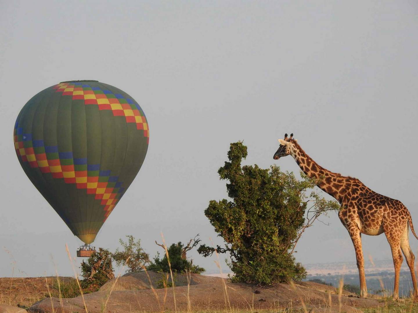 Serengeti-Balloon-Safari