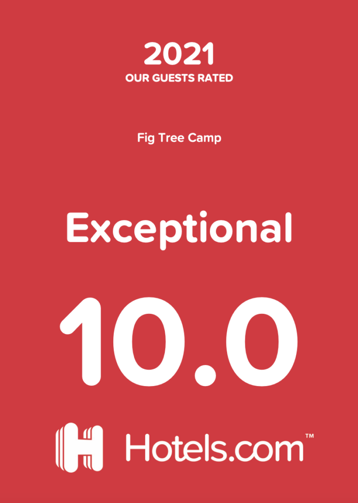 Expedia Award - Fig Tree Masai Mara