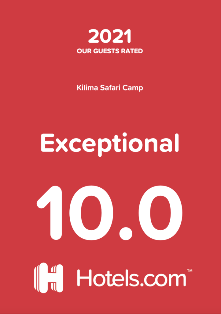 Expedia Award - Kilima Safari Camp
