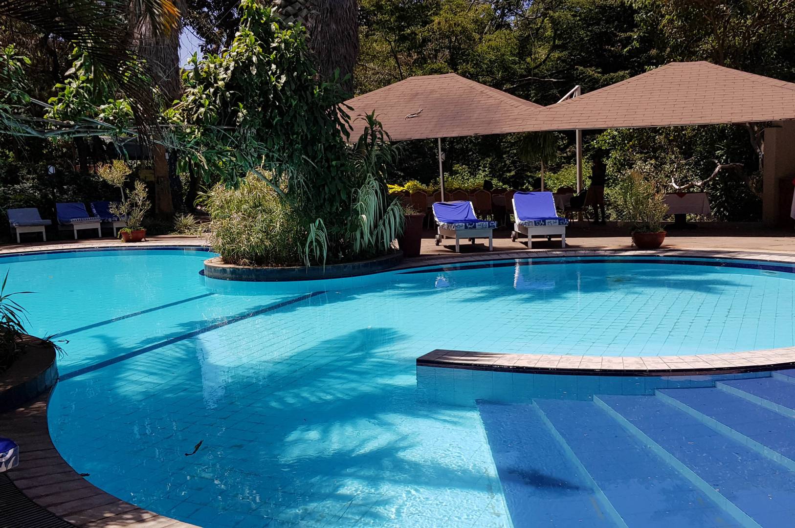 Swimming Pool - Hotel LaMada