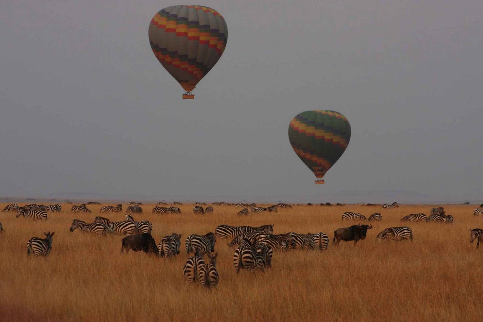 8-Adventures-Aloft-Balloon-Safaris-scaled